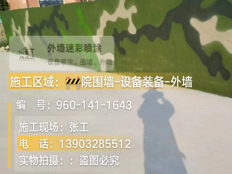 遂宁 迷彩漆喷涂价格（按平方米计费）